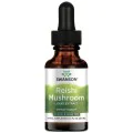 Reishi Mushroom Liquid Extract 29,6 мл | Swanson Reishi Mushroom Liquid Extract 29,6 мл | Swanson