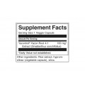 Yacontrol Yacon Root Extract 4:1 100 мг 90 веге капсули | Swanson