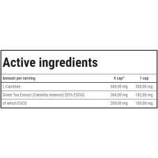L-Carnitine + Green Tea Caps - 90 капсули | Trec Nutrition