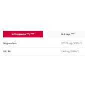 Magne 100 Sport Endurance | Enriched Magnesium Complex - 60 капсули | Trec Nutrition