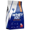 Whey 100 | High Quality Whey Protein Concentrate with Immuno Shield - Ягодов крем 2000 г | Trec Nutrition