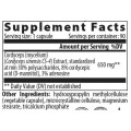 Cordyceps 650 mg - 60 капсули | VemoHerb Cordyceps 650 mg - 60 капсули | VemoHerb