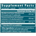 Eastern Adaptogen | Rhodiola + Ginseng + Shilajit - 60 капсули | VemoHerb Eastern Adaptogen | Rhodiola + Ginseng + Shilajit - 60 капсули | VemoHerb