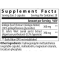 Ginkgo Hypericum - 60 капсули | VemoHerb