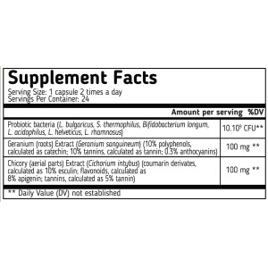 Probiotic8 Immunо - 24 капсули | VemoHerb Probiotic8 Immunо - 24 капсули | VemoHerb