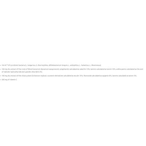 Probiotic8 Immunо + Vitamin C - 24 капсули | VemoHerb Probiotic8 Immunо + Vitamin C - 24 капсули | VemoHerb