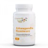 Ashwagandha + Rhodiola Rosea 60 капсули | Vita World