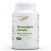 Brown Algae Extract 120 капсули | Vita World
