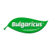 Bulgaricus