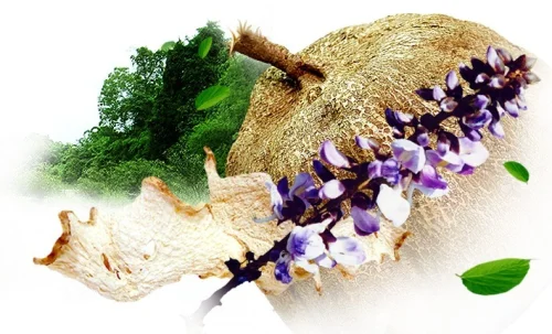 Крем pueraria mirifica за уголемяване на бюста на супер цена