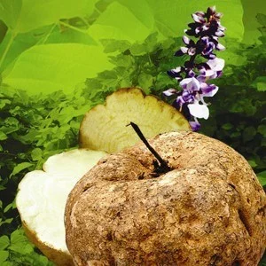 Pueraria mirifica на супер цена увеличава бюста и подмладява кожата. 