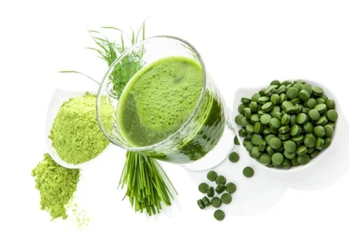 Хлорела на Rainforest Foods на уникална цена спомага за образуването на червените кръвни клетки.