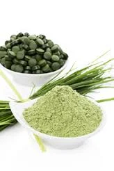 Био Спирулина таблетки от Rainforest Foods имуностимулант и антиоксидант