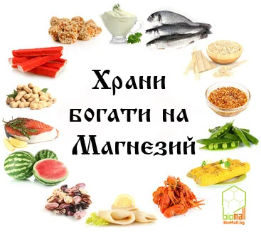 Магнезият е онзи елемент, който енергизира всяка клетка от нашия организъм.