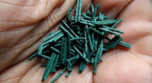 Спирулината (Spirulina) е растение, част от семейството на кафявите водорасли.