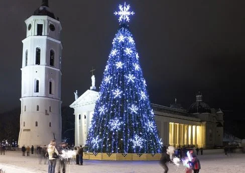 Коледната елха е символ на празника. 