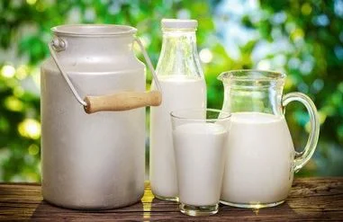 Млякото и млечните продукти са богати на калций. 