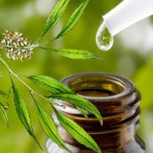 Масло от чаено дърво - против изпотяване