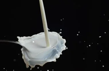 Лактоферинът е протеин, открит в кравето мляко и кърмата