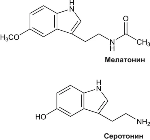 Доброто синтезиране на серотонин подпомага синтезирането на мелатонин