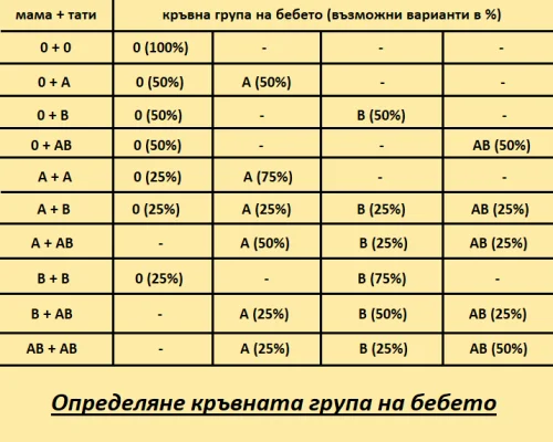 Определяне кръвната група на бебето спрямо кръвната група на майката и бащата