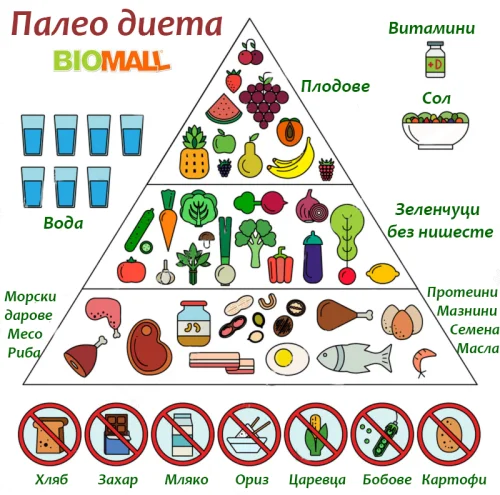 Хранителни продукти при палео диетата