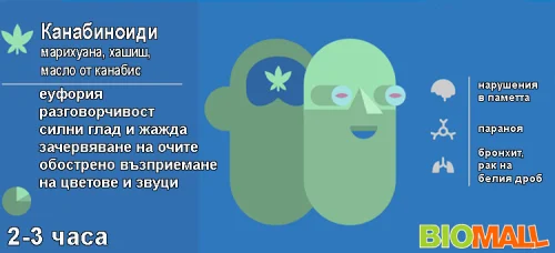 Марихуана, спайс, хашиш, канабис влияят на потентността, когнитивните функции, имунитета.