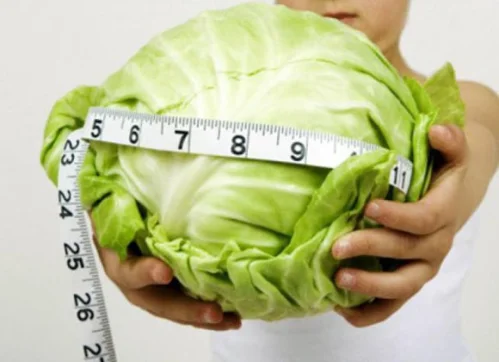 Зелето е нискокалоричен продукт и в него отсъстват вредни мазнини.