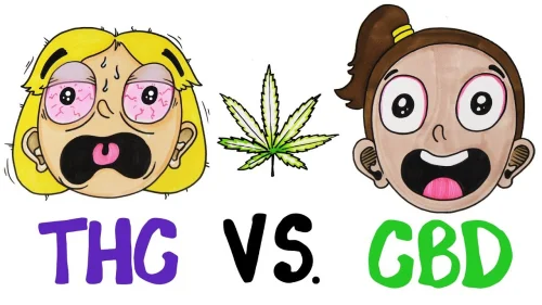 CBD, за разлика от TCH, няма психоактивно действие, не опиянява, но е полезно вещество при депресия, тревожност, стрес.