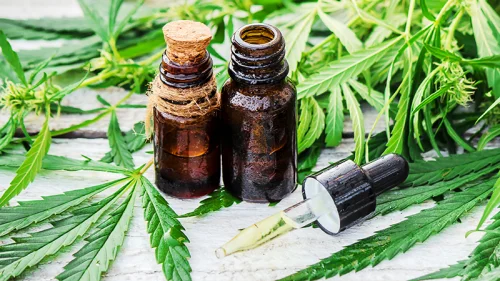 Ползи от CBD масло и другите видове продукти на основата на канабидиол.