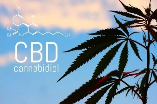 CBD продукти с канабидиол от канабис/коноп са безопасни за употреба, помагат при стрес, хронична умора, епилепсия.