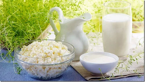 Млечните продукти изгарят мазнините