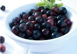 Maqui Berry ( Маки Бери ) като антиоксидант.