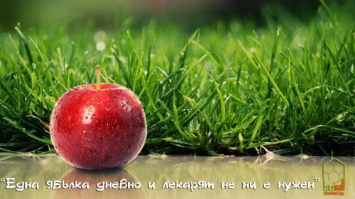 Една ябълка дневно и лекарят не ни е нужен