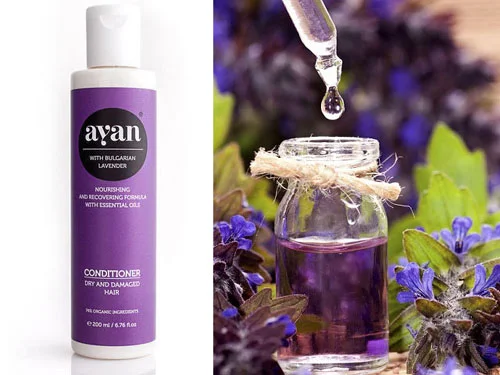 Conditioner with Lavender от Ayan е специално разработен балсам за суха коса с масло от лавандула