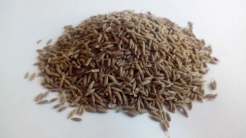 Cumin Oil 10 мл на топ цена от Bioherba поддържа кожата здрава. 