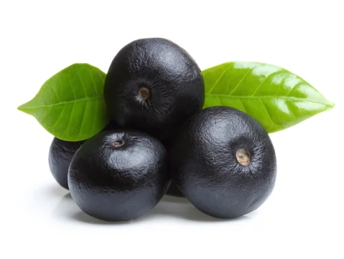 Акай Бери (Acai Berry) е най-новият изцяло натурален биопродукт за отслабване, помогнал успешно на милиони хора, страдащи от затлъстяване по цял свят. 