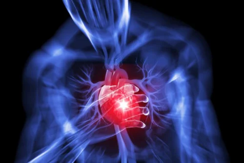 Coenzyme Q10 е хранителна добавка, която може да предотврати сърдечните пристъпи и болести