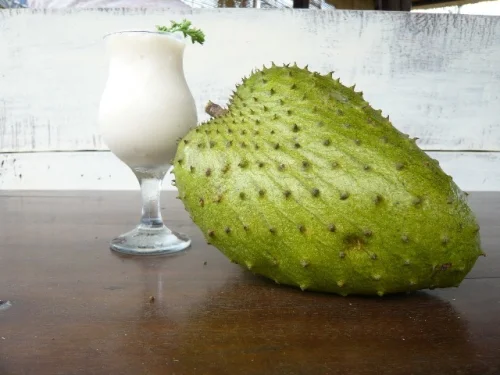 Graviola juice blend е хранителна добавка, която се грижи за цялостното здраве, подобрява храносмилането