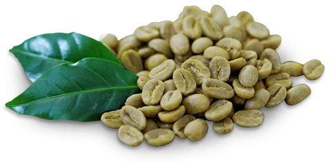 Biovea Зелено кафе със Светол е продукт на страхотна цена, който ви помага да изгорите излишните мазнини и да помогнете на метаболизма си. 