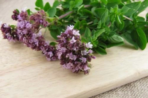 Oil Of Oregano 150 мг 90 гел-капсули на супер цена от Biovea помага при бактериални и гъбични инфекции