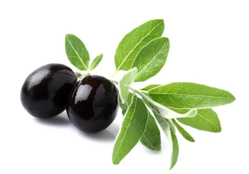 Olive leaf от Biovea понижават кръвното и холестерола, използват се за диария