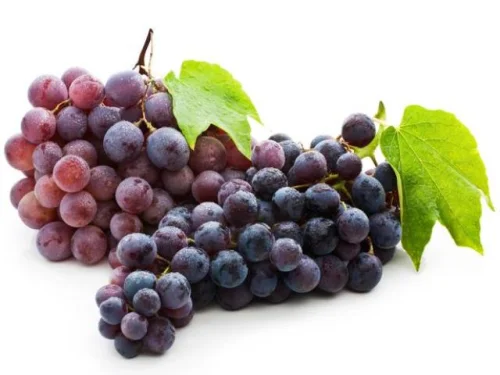 French Red Wine Extract на топ цена подпомага сърдечната функция и е силен антиоксидант