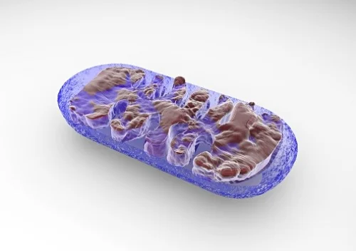 Best PQQ - 30 капсули от Doctor's Best увеличава енергията на тялото и има антиоксидантни свойства