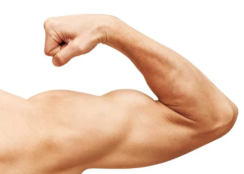 Best Proteolytic Enzymes укрепва мускулите и подпомага възстановяването на тъканите