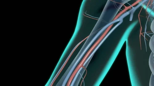 Best Vein Support Featuring DiosVein на Doctor`s Best поддържа тонуса и здравето на вените