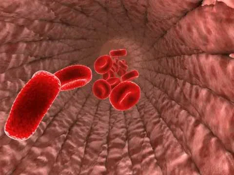 Best Vein Support Featuring DiosVein на топ цена подобрвва потока на кръвта по артериите