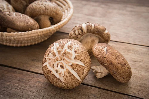 Shiitake (Lentinula Edodes) 90 veggie caps Fungiology удължава живота и младостта