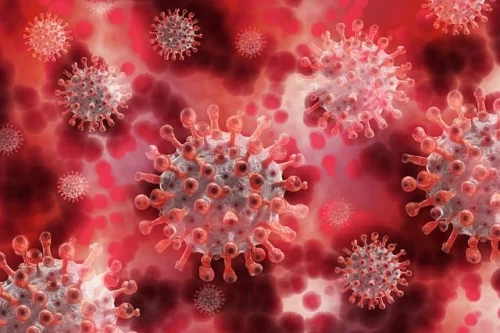 Vitamin Code Healthy Blood 60 веган капсули на ниска цена от Garden ot Life подпомага правилното кръвообращение и здравето на кръвта. 