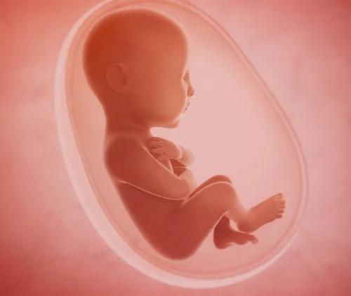 Vitamin Code Raw Prenatal на топ цена от Garden of Life е хранителна добавка за пренатална грижа.